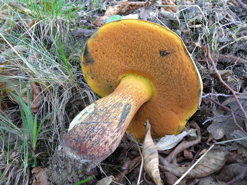 Forse l''ultima bellissima giornata..!!